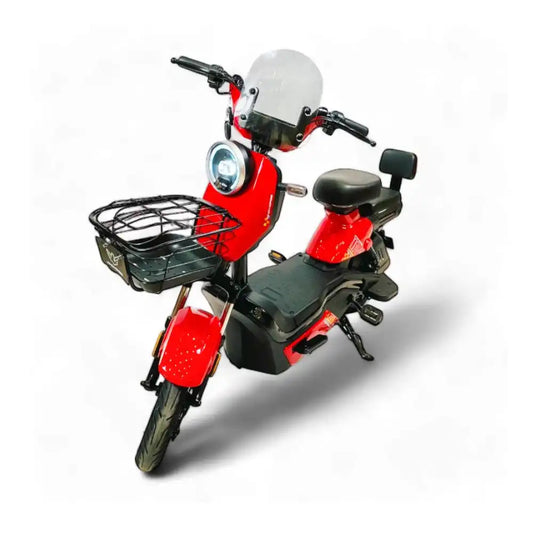 Wind Horse M6 Electric Bike