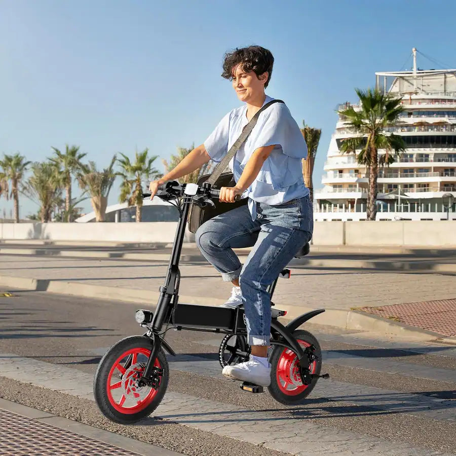 Wind Horse C19 Electric Bike